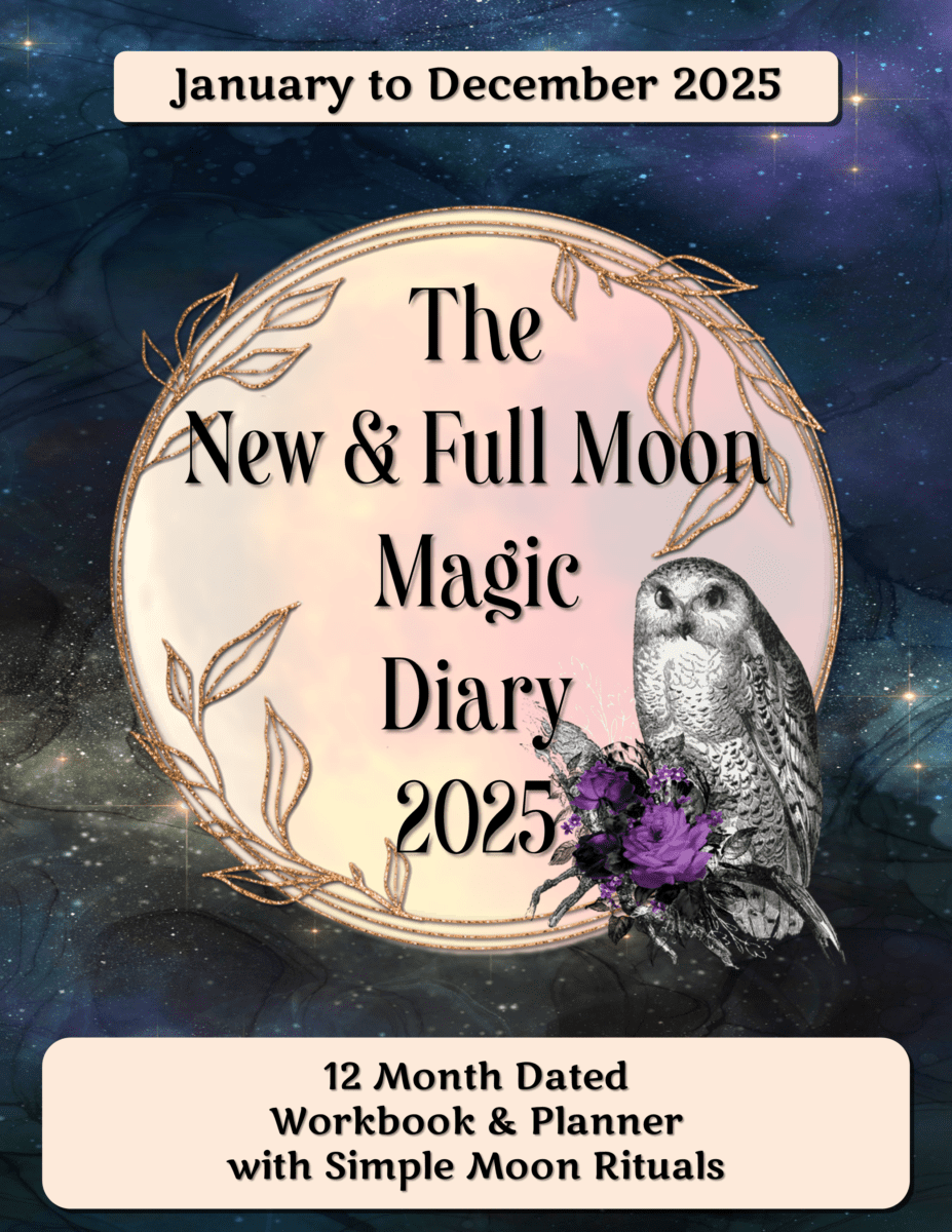 cover of new full moon magic diary 2025, featuring a gothic owl perched on a purple flower, set against a full moon entwined in a gold frame in front of a star-filled teal galaxy